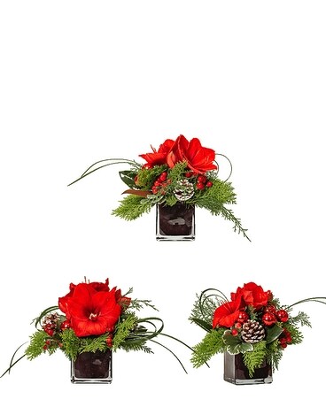 Standard - Trio (3) size, 10.5 inches height and 13 inches wide.