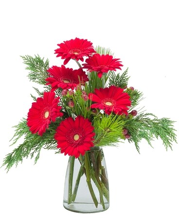 Standard size, 12 inches height and 8 inches wide.