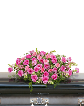 Premium size, inches height and inches wide.