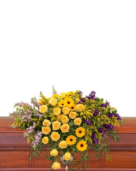 Premium size, inches height and inches wide.