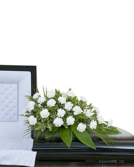 Premium size, inches height and inches wide.
