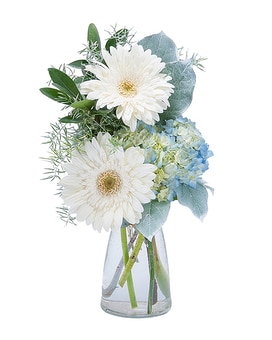 Deluxe size, inches height and inches wide.