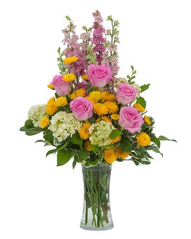 Deluxe size, inches height and inches wide.