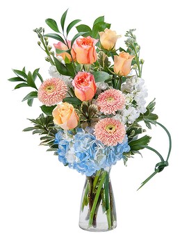 Deluxe size, inches height and inches wide.