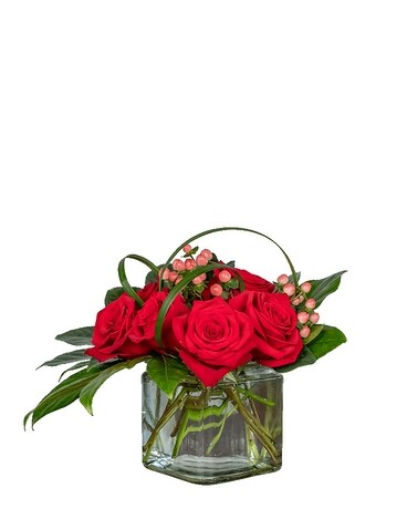 Standard size, 11 inches height and 16 inches wide.