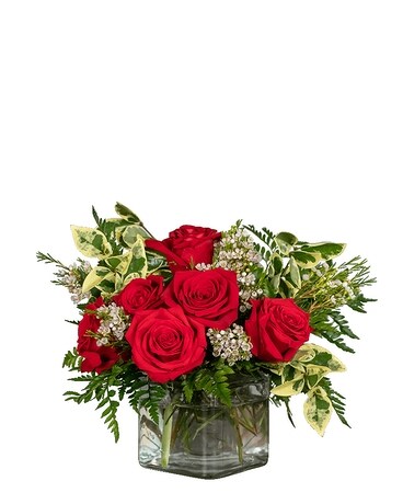 Standard size, 10 inches height and 14 inches wide.