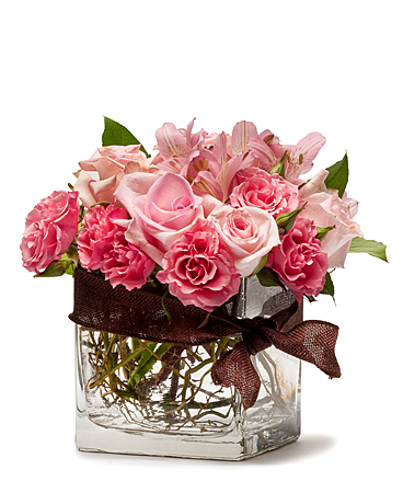 Standard size, 7 inches height and 7 inches wide.