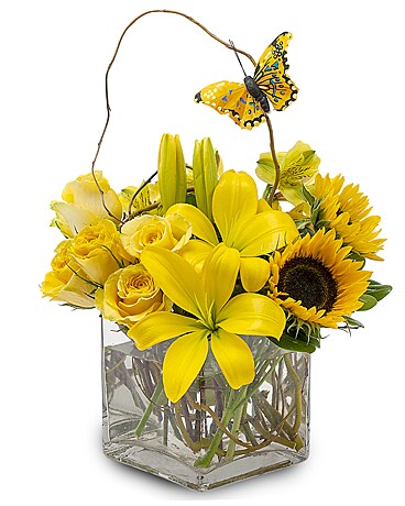 Standard size, 8 inches height and 6 inches wide.