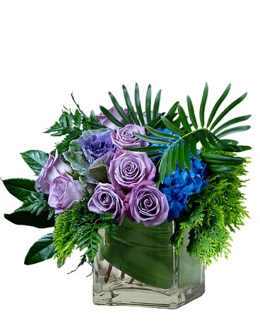 Premium size, 14 inches height and 16 inches wide.