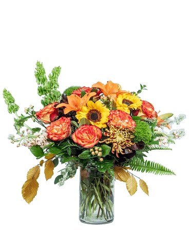 Deluxe size, 21 inches height and 19 inches wide.
