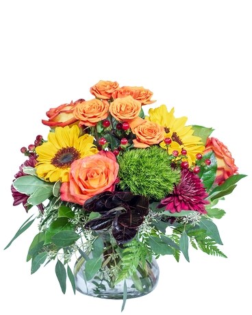 Standard size, 22 inches height and 17 inches wide.