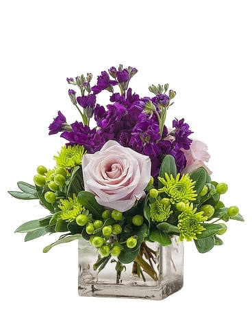 Standard size, 8 inches height and 5 inches wide.