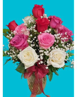 FULL DOZEN size, inches height and inches wide.