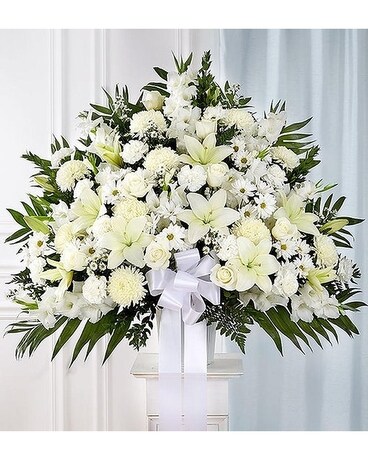 Large size, inches height and inches wide.