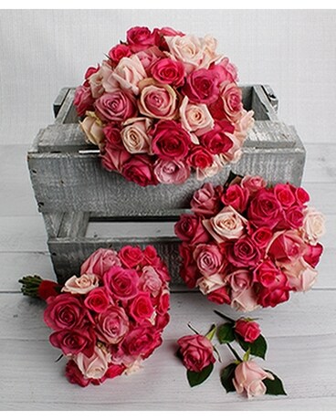Pink size, inches height and inches wide.