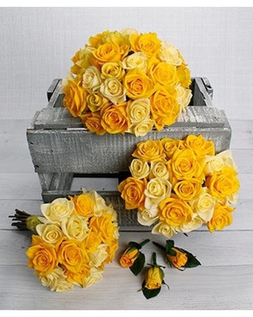 Yellow size, inches height and inches wide.