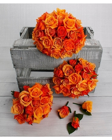 Orange size, inches height and inches wide.