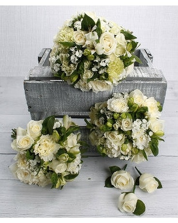 Green/White size, inches height and inches wide.