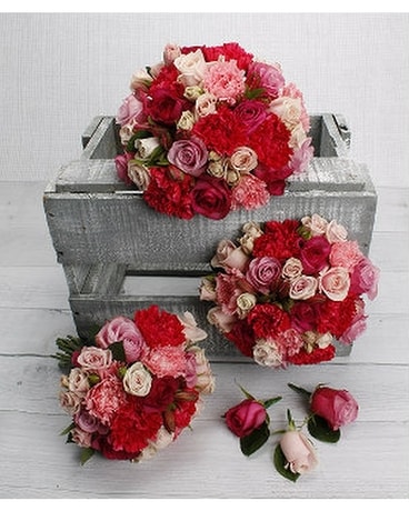 Pink size, inches height and inches wide.