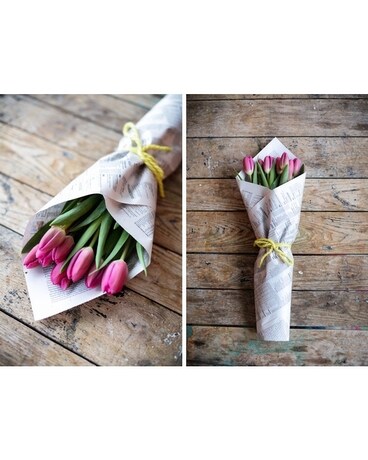 Wrapped Pink Tulips Flowers