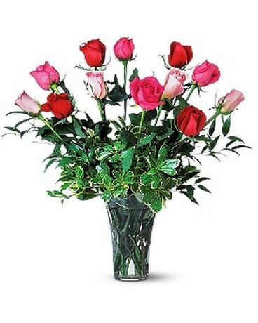 Standard (1 dozen) size, inches height and inches wide.