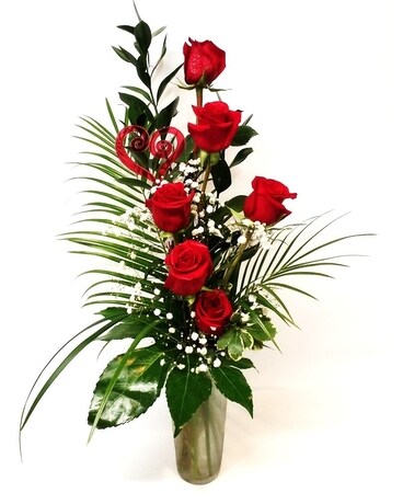 Red (As Shown) size, inches height and inches wide.