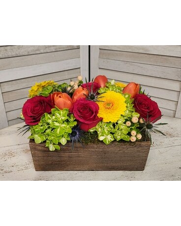 Deluxe size, inches height and inches wide.