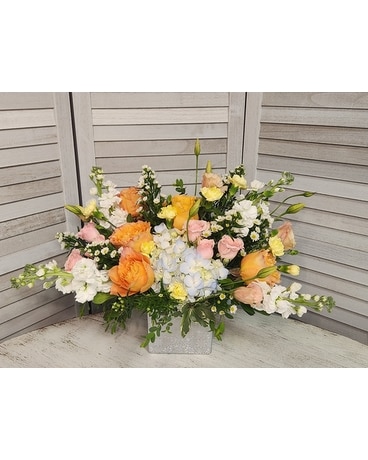 Premium size, inches height and inches wide.