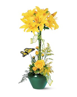 Standard size, 23 inches height and 11 inches wide.