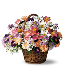 Standard size, 13 inches height and 15 inches wide.