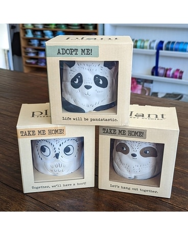 Sloth- pot only size, inches height and inches wide.