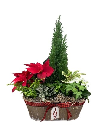 As Shown size, 22 inches height and 14 inches wide.