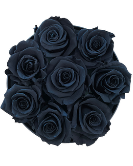 8 Black Roses size, inches height and inches wide.