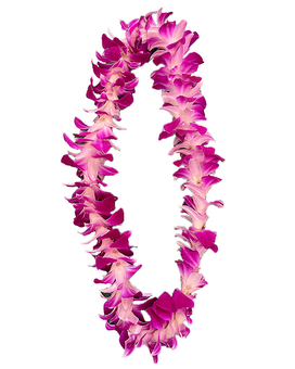 Single Purple Lei size, inches height and inches wide.