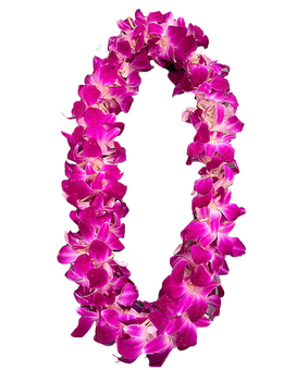 Double Purple Lei size, inches height and inches wide.