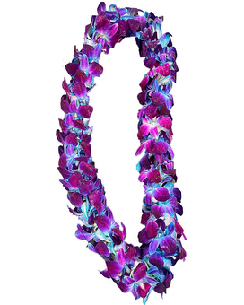 Double Blue/Purple Lei (sold out) size, inches height and inches wide.