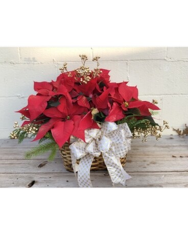 Christmas Greens & Bow size, inches height and inches wide.