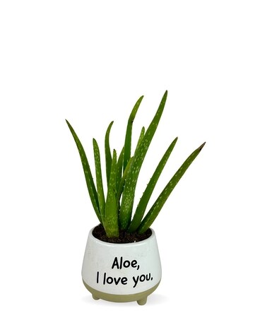 As Shown size, inches height and inches wide.