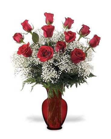 1 Dozen size, inches height and inches wide.