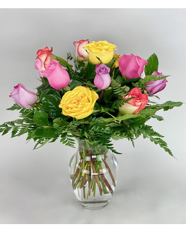 1 Dz Mixed - Colors will Vary size, inches height and inches wide.