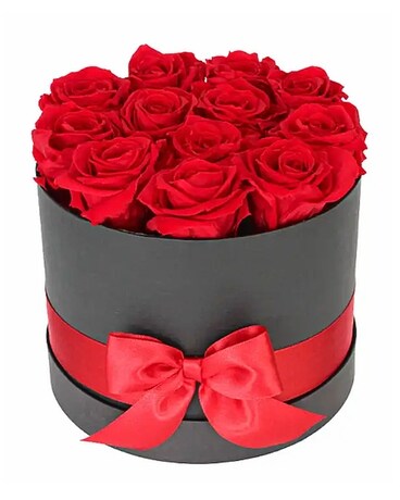 48 Red size, inches height and inches wide.