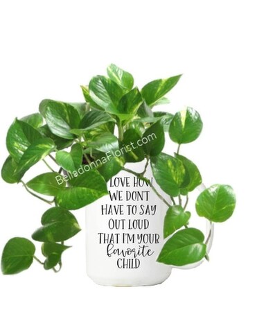 Mug with Green Plant size, inches height and inches wide.