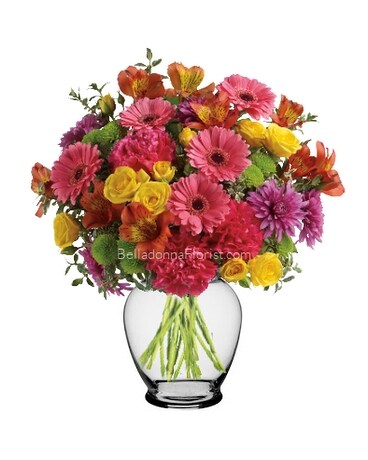 Impressive size, 15 inches height and 14 inches wide.