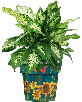Green Plant Design size, inches height and inches wide.