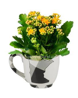 Mug with Blooming Plant size, inches height and inches wide.