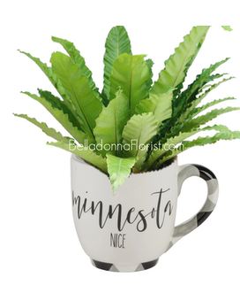 Mug with Green Plant size, inches height and inches wide.
