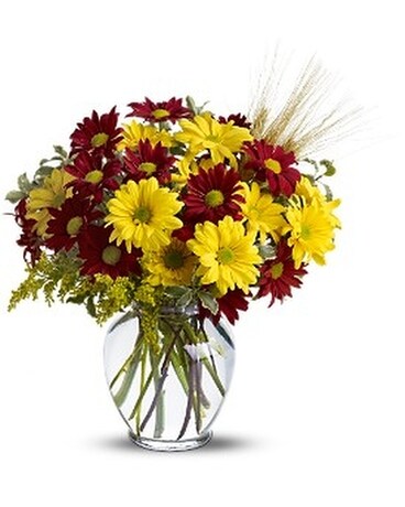 Standard size, 15 inches height and 12 inches wide.