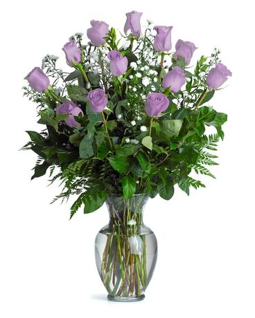 Standard - 12 size, 28 inches height and 16 inches wide.