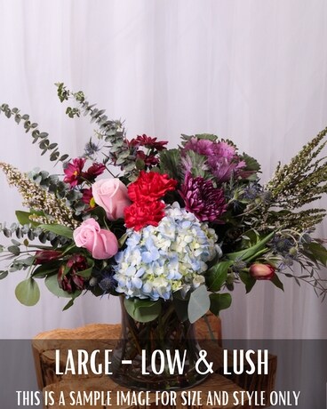 Large Low & Lush size, inches height and inches wide.