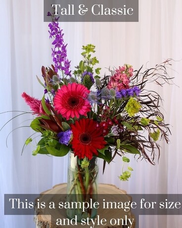 Medium Tall & Classic size, inches height and inches wide.